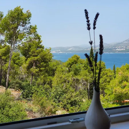 Tihana Trogir